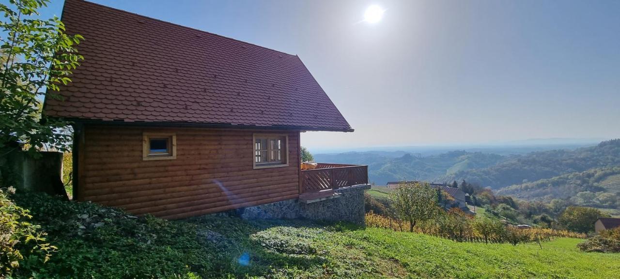 Wine Panorama House Villa Jastrebarsko Exteriör bild
