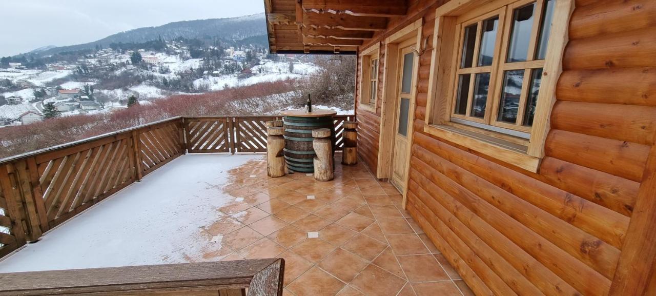 Wine Panorama House Villa Jastrebarsko Exteriör bild