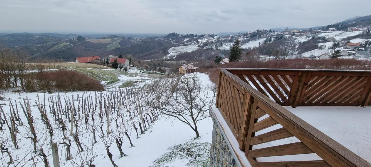 Wine Panorama House Villa Jastrebarsko Exteriör bild